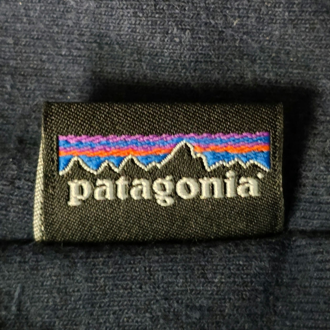 Patagonia Hoodie Men’s M Blue Bear Logo Pullover Sweatshirt