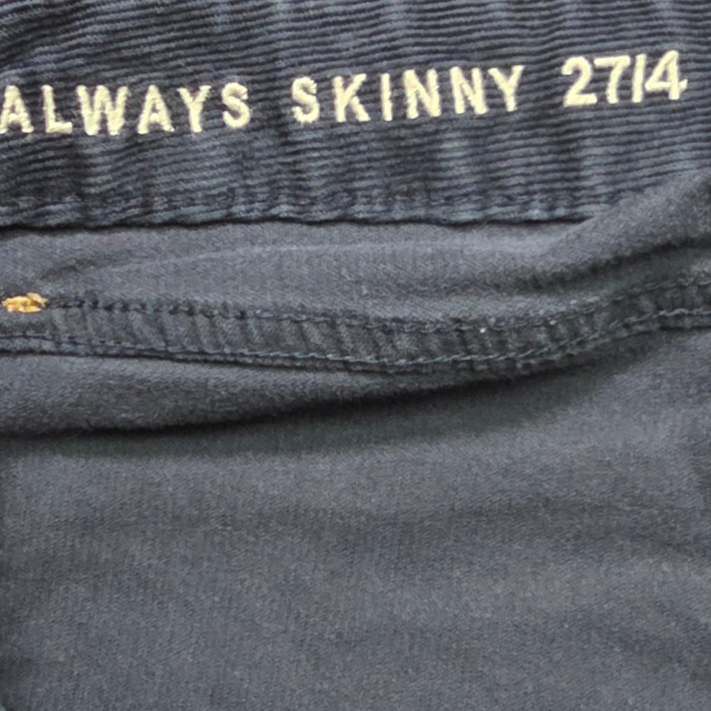 GAP 1969 Always Skinny Jeans Women’s 27 Blue Denim Mid Rise Stretch