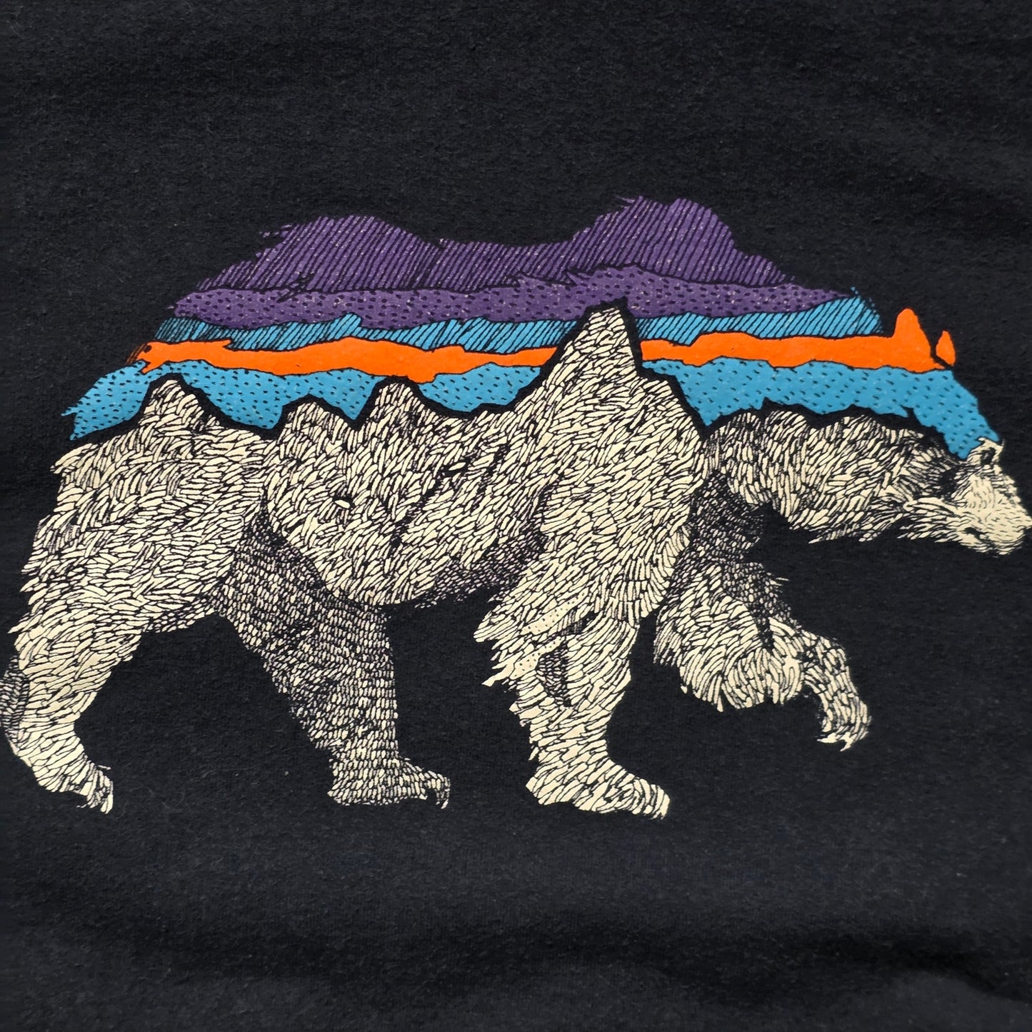 Patagonia Hoodie Men’s M Blue Bear Logo Pullover Sweatshirt